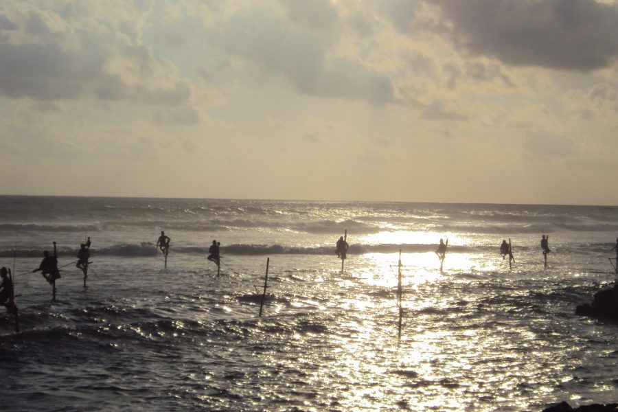 Southern Coastal Highlights (5-Day Program)