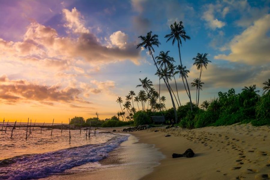 Southern Coastal Immersion (8-Day Program)